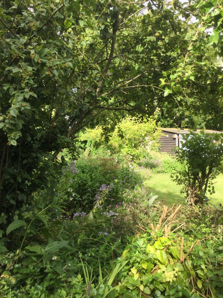 A Charm of Goldfinches in the Nature Garden